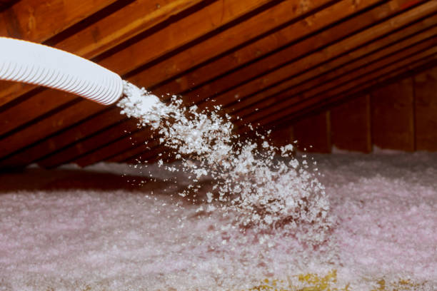 Best Geographic-Specific Insulation Services in West Park, FL