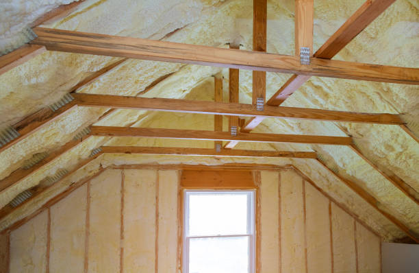 Best Specialized Insulation Services in West Park, FL