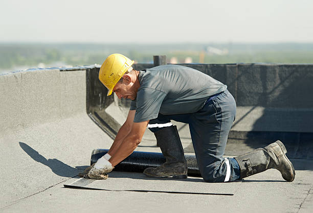 Best DIY Insulation Kits and Guidance in West Park, FL