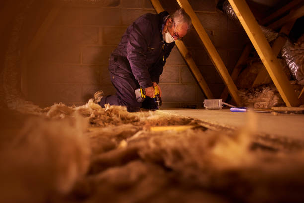 Best Eco-Friendly Insulation in West Park, FL